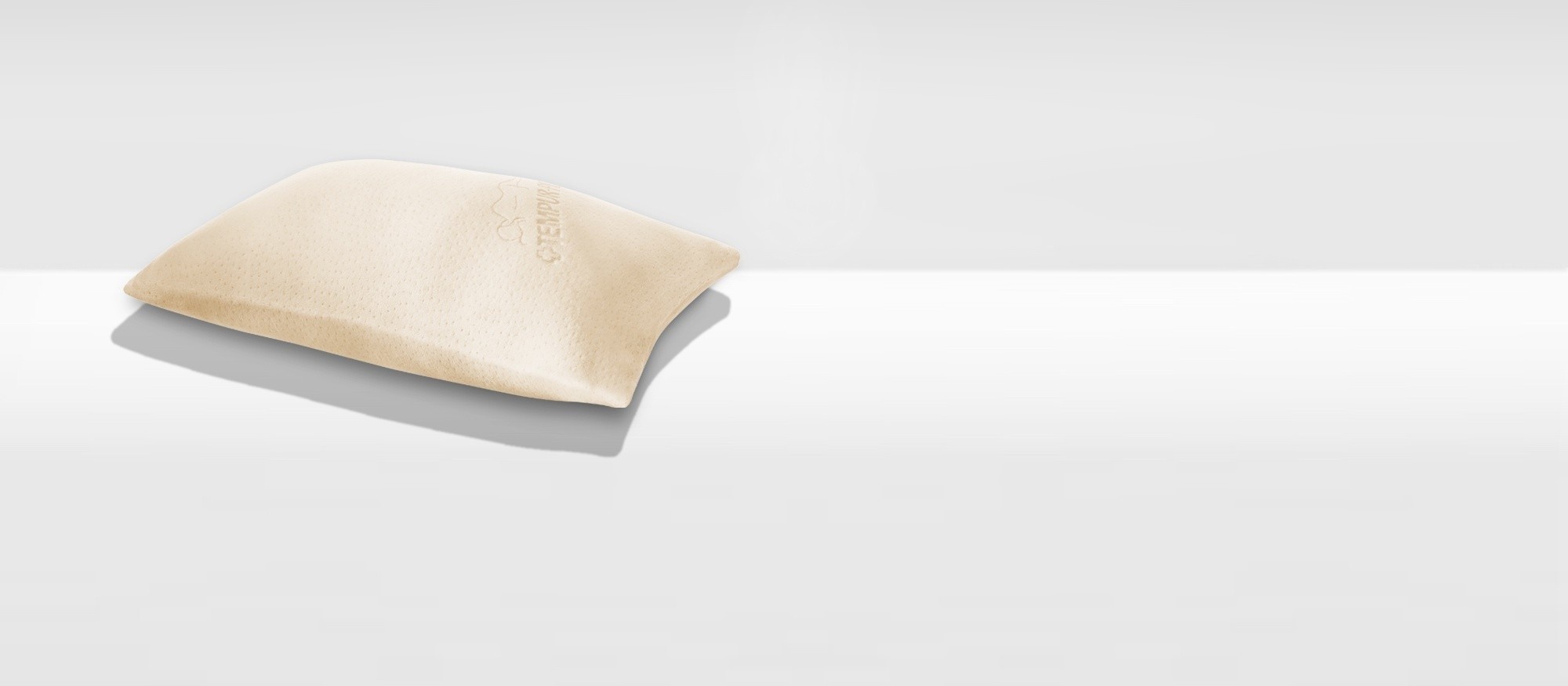 Comfort Travel Pillow DeskTop